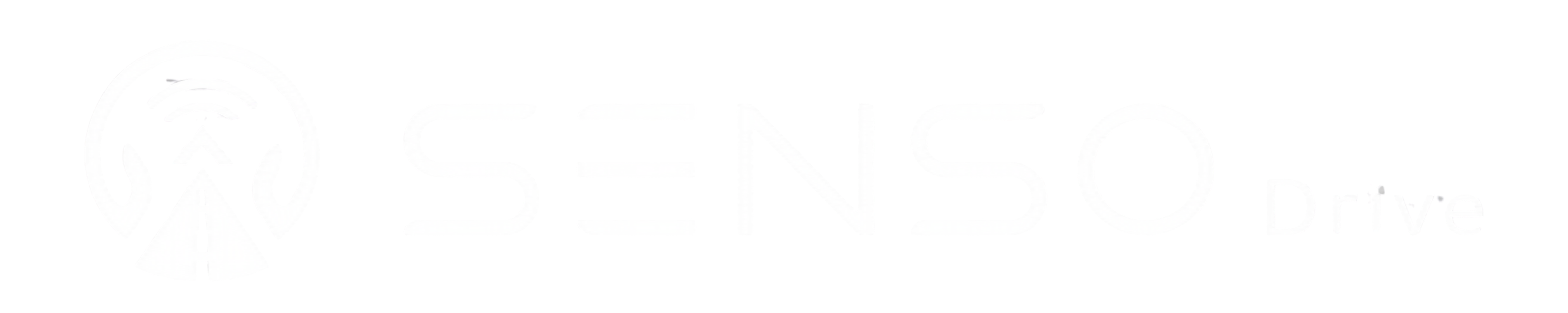 SENSO Drive